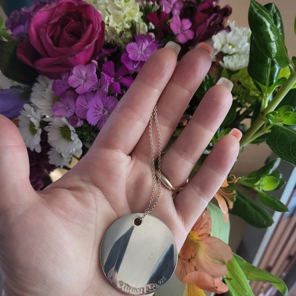 TIFFANY EX LARGE PENDANT FLAGSHIP STORE NYC LOGO - Picture 3 of 8